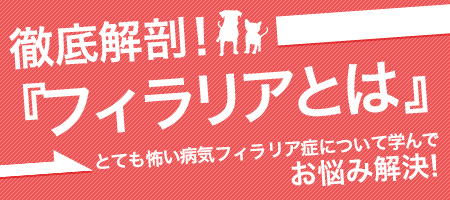 犬用 フィラリア予防薬 徹底比較 種類 成分 効果 メーカー ペット医薬品個人輸入代行 うさパラ